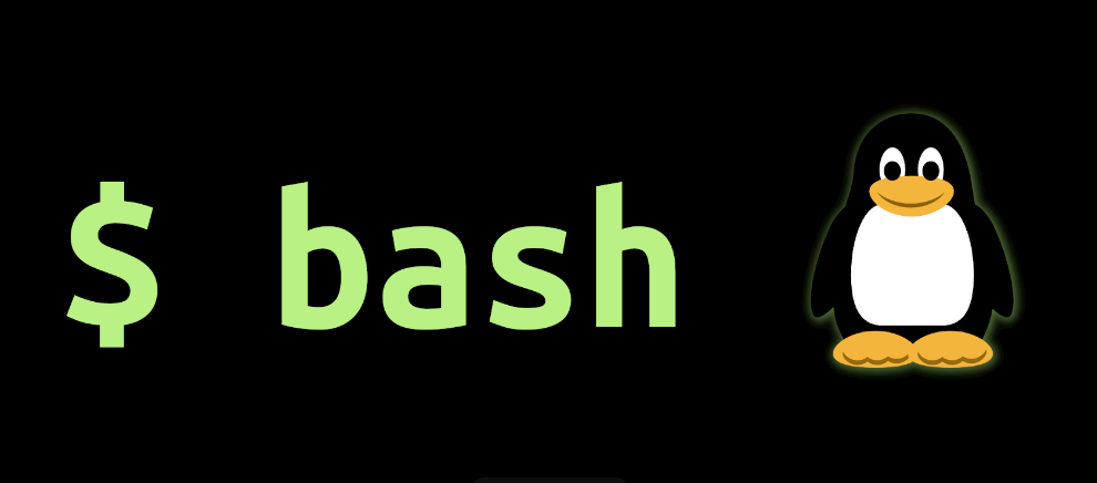 bash clipart